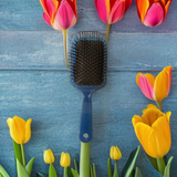 Shiny Paddle Hair Brush for Wet and Dry Hair Brushing | Luxurious Detangling, Scalp Massage | Black Bristle Cushion | Nice Turquoise Blue Chic | 9 x 4 inches