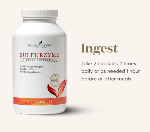 Young Living Sulfurzyme - 300 Capsules - Premium Sulfur Supplement - Supports Joint Health, Healthy Skin, Hair & Nails - Promotes Overall Well-Being & Vitality